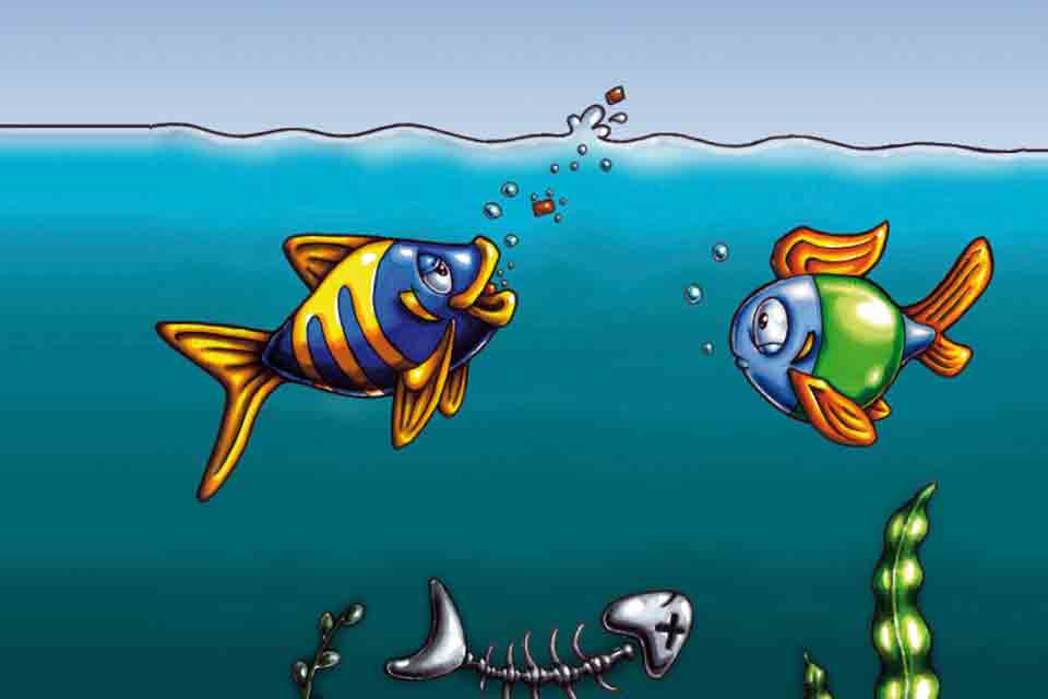 Promotional Material