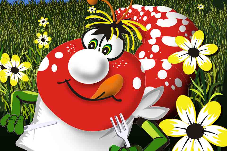 Promotional Material