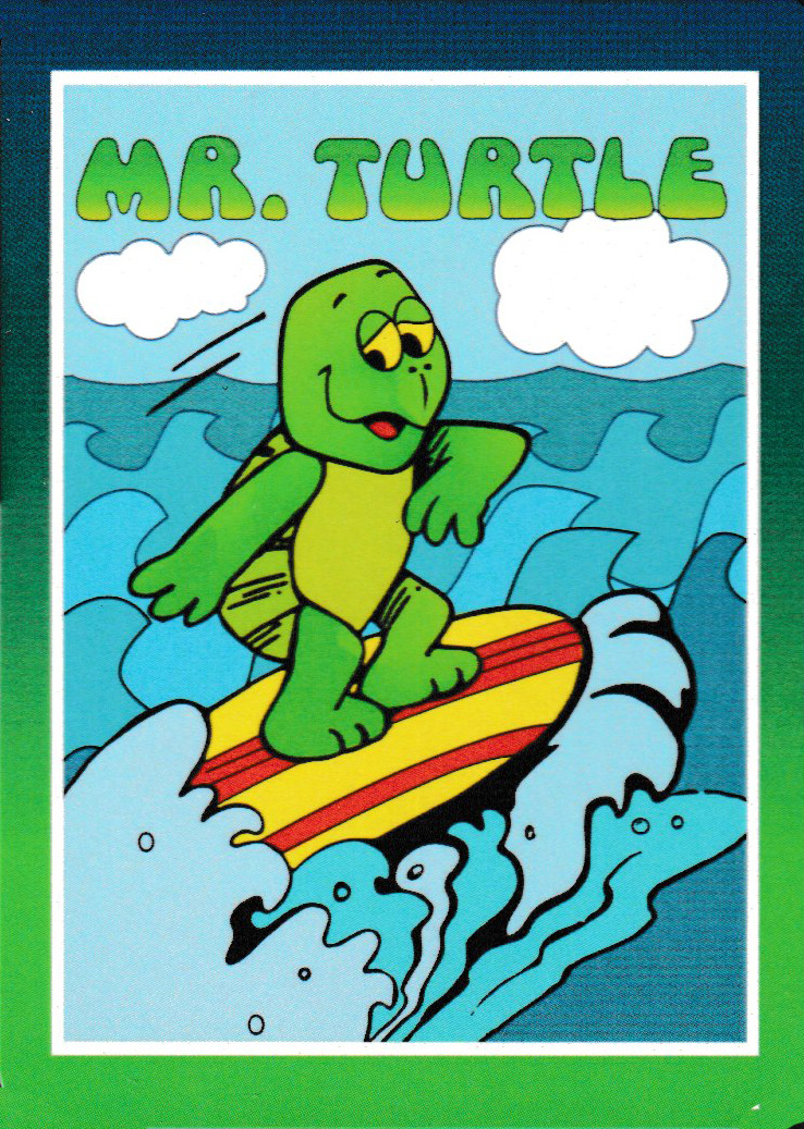 Mr. Turtle