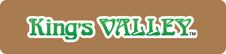 Promotional Material 2