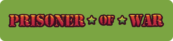 Promotional Material 2