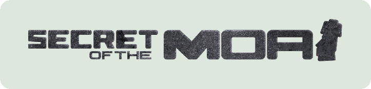 Promotional Material 2