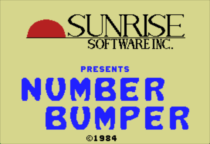 NUMBER BUMPER