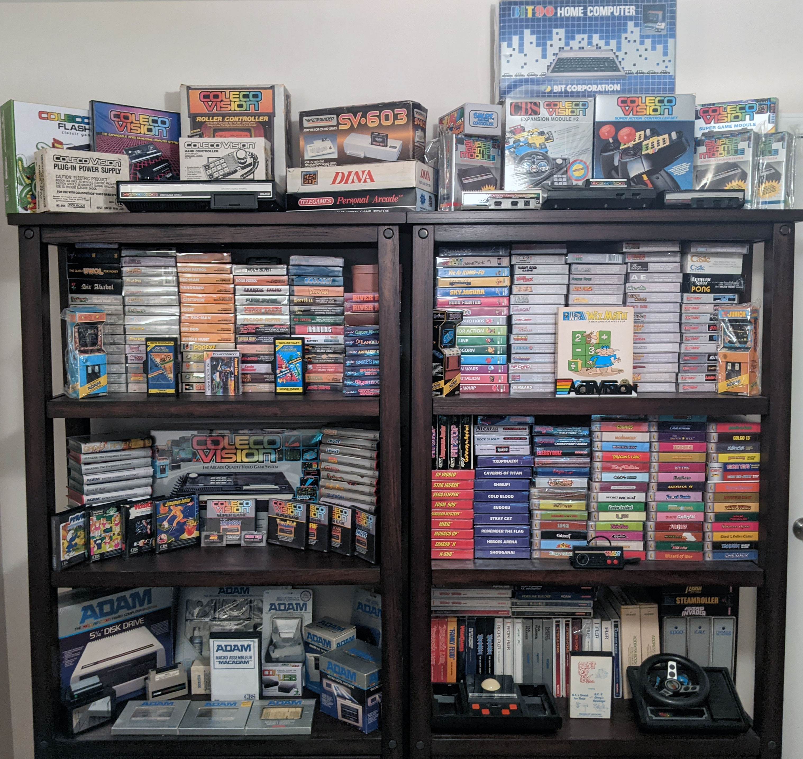 Early Museum Collection Display